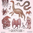 Daily Question: What is your favorite Cryptid? and why? | Mythology ...