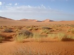 Datoteka:Sahara.jpg - Wikipedia