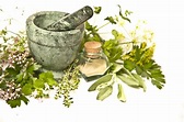 The 7 Best Herbs For Women’s Health | The Sleuth Journal