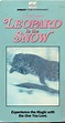 Leopard in the Snow | VHSCollector.com