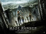 The Maze Runner Posters - Movie Posters