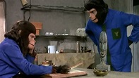 Life, Liberty and Pursuit on the Planet of the Apes (1980) | MUBI