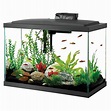 Top Ten 20 Gallon Fish Tanks for Your Home of Office - Aquatics World