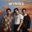 Trio Jonas Brothers Are Back With New Single "Wings" - ELICIT MAGAZINE