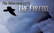 The Adventures Of The Falcon | Grace Gibson Shop