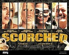 Scorched alicia silverstone woody harrelson hi-res stock photography ...