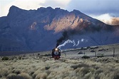 Old Patagonian Express: storia de La Trochita - We Build Value