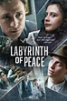 Labyrinth of Peace (TV Series 2020-2020) — The Movie Database (TMDB)