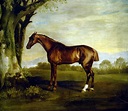 A Chestnut Racehorse - George Stubbs - WikiArt.org