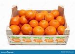 Mandarins in box stock photo. Image of fresh, nature - 23201824