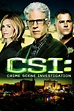 CSI: Crime Scene Investigation (TV Series 2000–2015) - IMDb