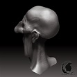STL file HD HEAD 'MISERY HEAD'・Model to download and 3D print・Cults