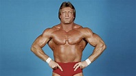 Obscure Video And DVD Blog: RIP PAUL ORNDORFF 1949-2021