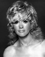 Connie Stevens - Always admired her. She had the hair and was the 60's ...