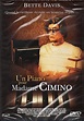 Un piano pour Madame Cimino: Amazon.ca: Movies & TV Shows