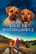 Watch Where the Red Fern Grows: Part Two Online | 1994 Movie | Yidio
