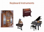 Keyboard Instruments Family