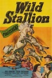 Wild Stallion (película 1952) - Tráiler. resumen, reparto y dónde ver ...