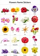 √ Exotic Flowers Names