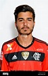 Brazilian Football League Serie A / ( Clube de Regatas do Flamengo ...
