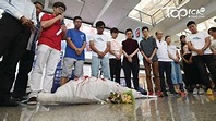 中華白海豚罕有在西貢海面出沒 網民籲愛護環境 - 香港經濟日報 - TOPick - 新聞 - 社會 - D181028