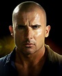 Pictures & Photos of Dominic Purcell | Dominic purcell, Prison break ...