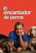 El encantador de perros - National Geographic - Ficha - Programas de ...