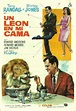 Un león en mi cama (1965) "Fluffy" de Earl Bellamy - tt0059188 Movie ...