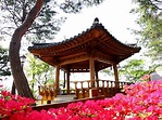Turismo en Jeungpyeong-gun, Corea del Sur 2021: opiniones, consejos e ...