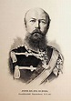 PREUSSEN, Friedrich Karl von Preußen (1828-1885): (1885) Art / Print ...