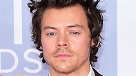Share more than 80 harry styles 2023 hairstyle - in.eteachers