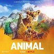 Sección visual de Animal (Serie de TV) - FilmAffinity