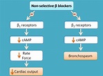 Beta blockers