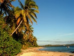File:The Point (Fiji).jpg - Wikimedia Commons