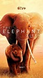 The Elephant Queen - Película 2019 - Cine.com