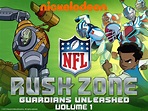NFL Rush Zone (2010)