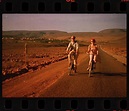 那些关于沙漠的美好电影，你看过几部？|沙漠|喵喵|海豹_新浪新闻