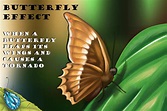 10 Butterfly Effect Examples (2024)