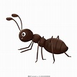手绘卡通蚂蚁图片_其他_其他-图行天下素材网