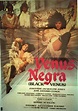 "VENUS NEGRA" MOVIE POSTER - "BLACK VENUS" MOVIE POSTER