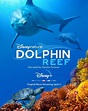 Cartel de la película Delfines: La vida en el arrecife - Foto 1 por un ...
