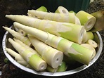 Bamboo Shoots Health Benefits, Nutritional Facts, Recipes