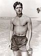 Picture of Stephen Boyd | Stephen boyd, Hollywood men, Actors