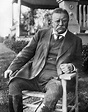 Biografi Theodore Roosevelt – Lakaran