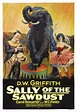 Sally of the Sawdust - Wikipedia