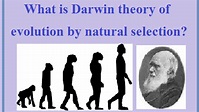 Charles Darwin: Theory of Evolution and Natural selection