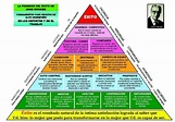 DIARIO DE UN CORREDOR DE FONDO: la piramide del éxito