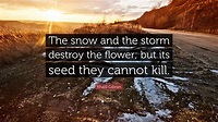 Khalil Gibran Quote: “The snow and the storm destroy the flower; but ...