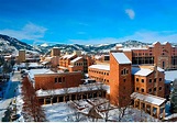 The University of Colorado Boulder | D2L