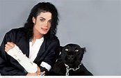Michael Jackson 1990s